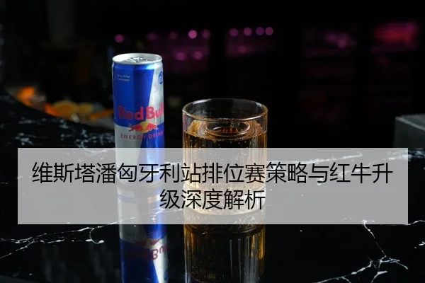 维斯塔潘匈牙利站排位赛策略与红牛升级深度解析