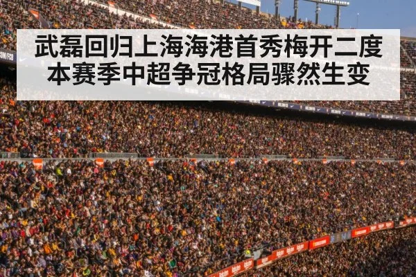 football stadium crowd