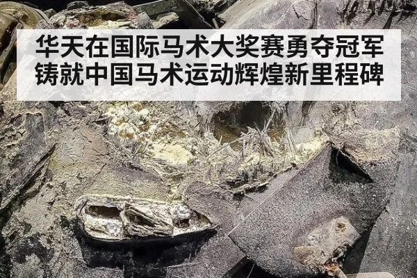 华天在国际马术大奖赛勇夺冠军铸就中国马术运动辉煌新里程碑